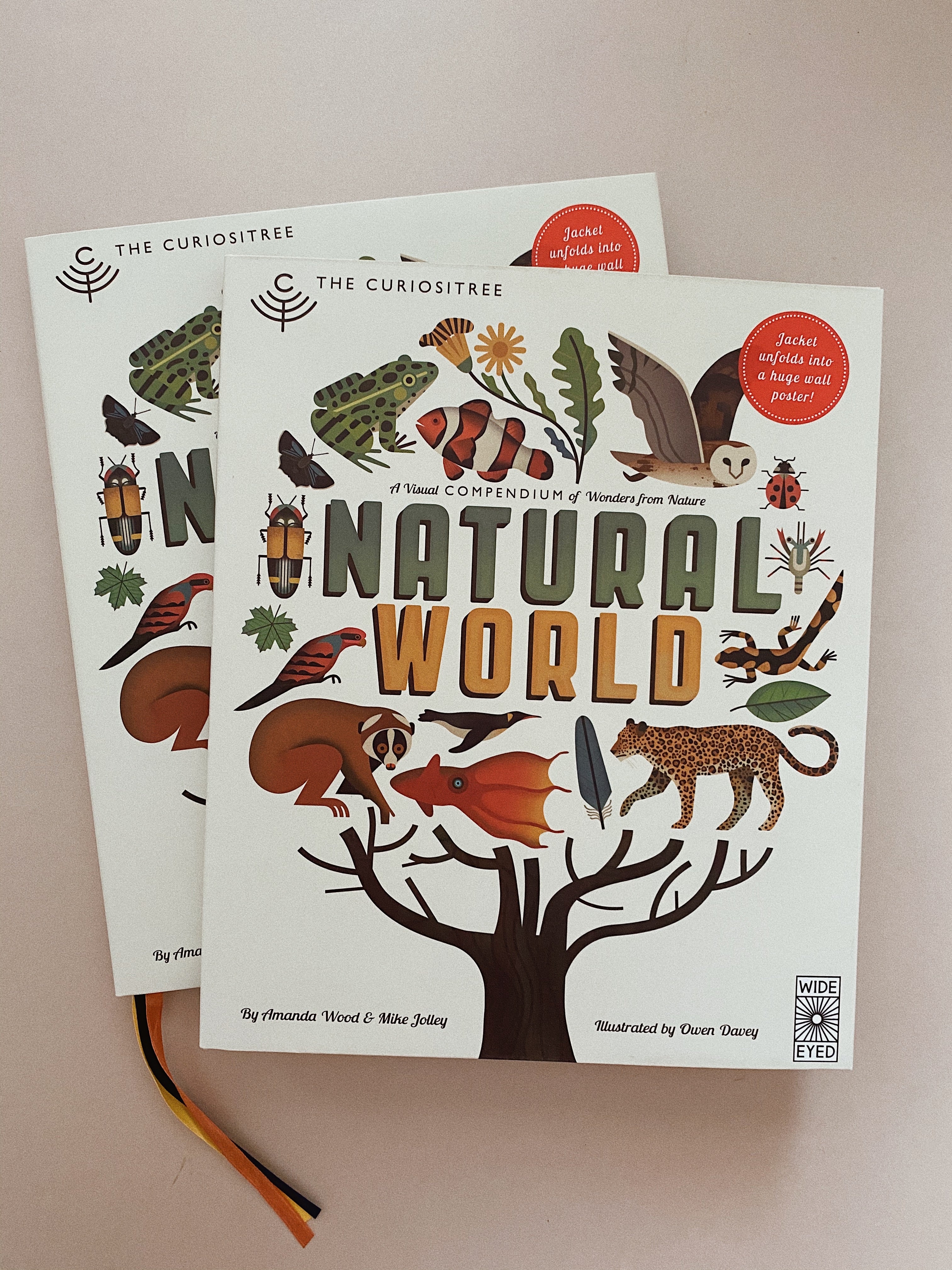 Visual　Curiositree:　of　Wonders　A　Nature　Natural　World:　from　Compendium　Hardcover